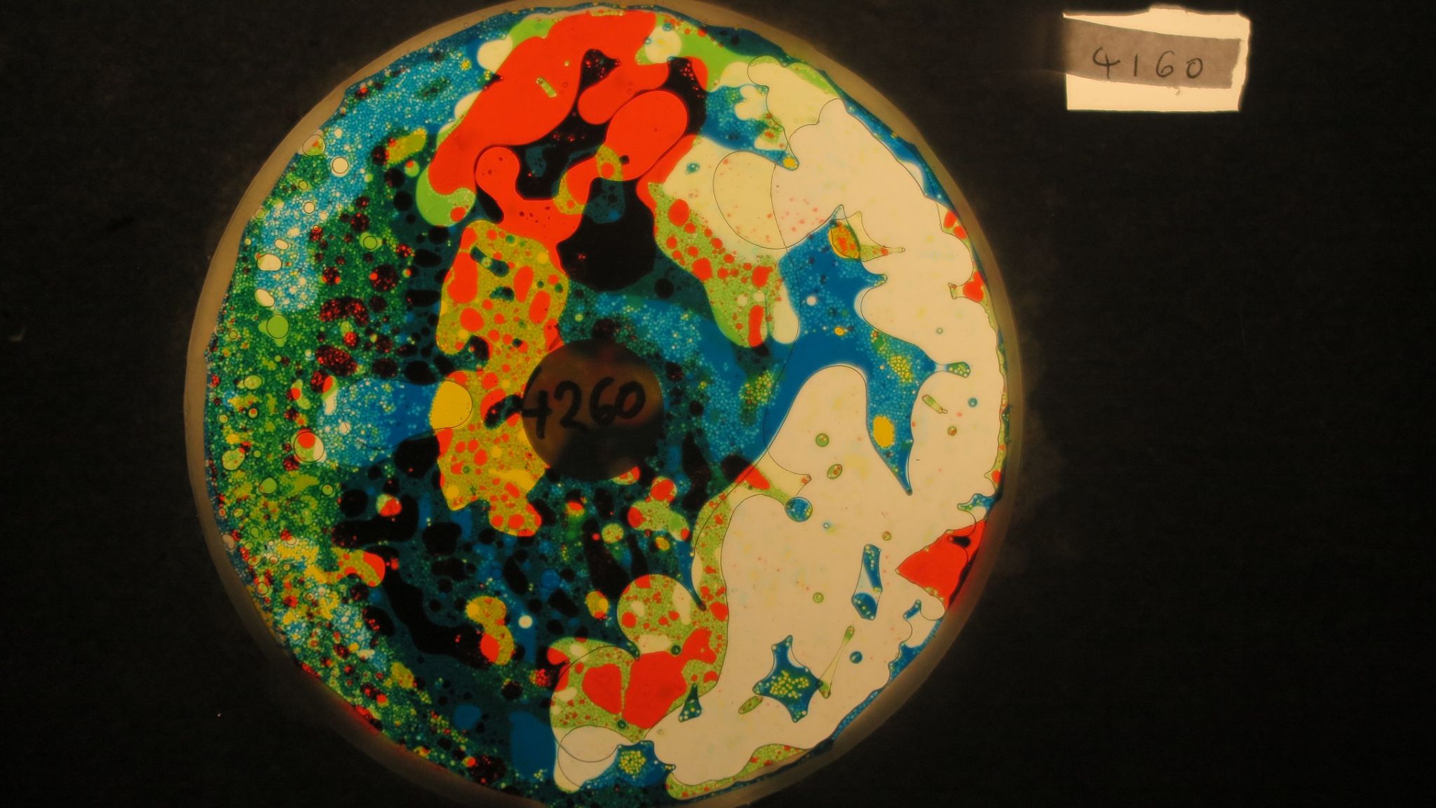 BV4260 bubble vision oil wheel